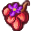 Bittersweet Nightshade Berries.png