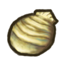 Round Clam.png