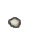 Gem-Tiny Rough Moonstone.png