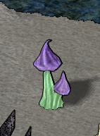 Gnome's Cap.png