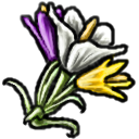 File:Crocus.png