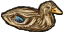 Mallard Hen.png