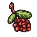 Hoarwithy Berries.png