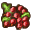 Redcurrant.png