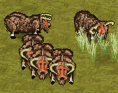 Legacy-Aurochs.png