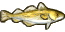 Cod.png