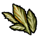 Wildkale Leaf.png