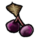 Yesteryear's Cherries.png