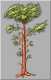 Legacy-Pine Tree icon.png