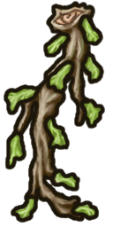 Gray Alder Bough.png