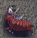 Tame Reindeer-skinned.png