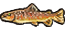 Trout.png