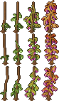 Legacy-Grape Crop.png