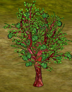 Almond Tree.png