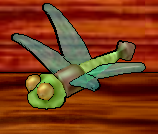 Dragonfly.png