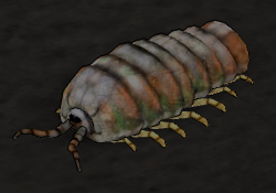 Cave Louse.png