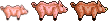 Legacy-Pig.png