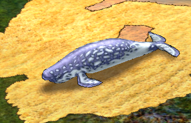 File:Narwhal-dead.png