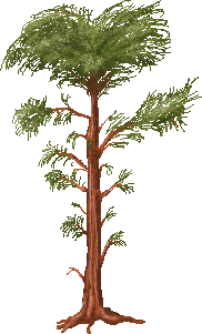 Legacy-Pine Tree.png