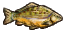 Carp.png