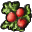 Hollyberries.png