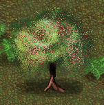 Legacy-Mulberry Tree.png