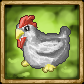 Legacy-Chicken Portrait.png