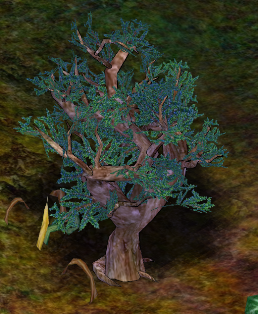 Juniper Tree.png