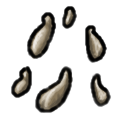 Seeds of Corn Grass.png