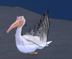 Pelican.png