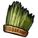 Grass Crown.png