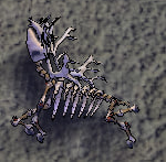 Tame Reindeer-skeleton.png