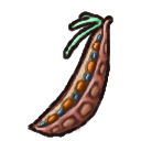 Acacia Pod.png