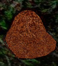 Ant Hill.png