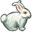 Rabbit Buck.png