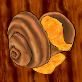 Conch Chair.png