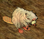 Elder Beaver - rare and strongest beaver in Dungeon. 1000 Hp