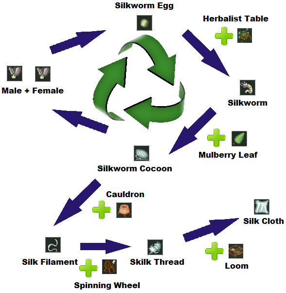 Sericulture cycle.png