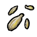 Orange Seed.png