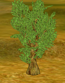 Laurel Tree.png