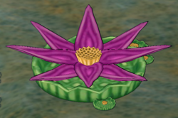 Lilypad Lotus.png