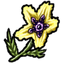 Black Henbane.png