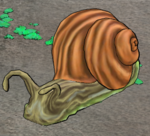 Chasm Conch Alive.png