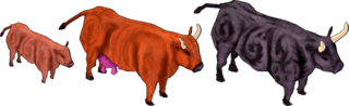 Cattle.png