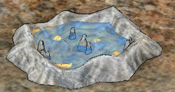 Tidepool.png