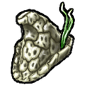 Thumbnail for version as of 14:55, 22 February 2026