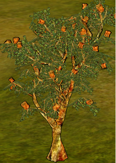 Cork Oak Tree.png