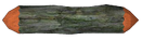 Black Pine