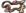 Rattle-Tattle-Talisman.png