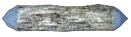 Silver Fir